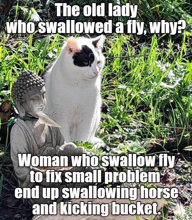 The old lady who swallowed a fly, why? Woman who swallow fly to fix small problem end up swallowing horse and kicking bucket.