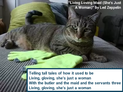 "Living Loving Maid (She's Just A Woman)" by Led Zeppelin Telling tall tales of how it used to be Living, gloving, she's just a woman With the butler and the maid and the servants three Living, gloving, she's just a woman