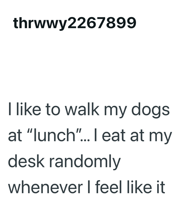 thrwwy2267899 I like to walk my dogs at "lunch"... I eat at my desk randomly whenever I feel like it