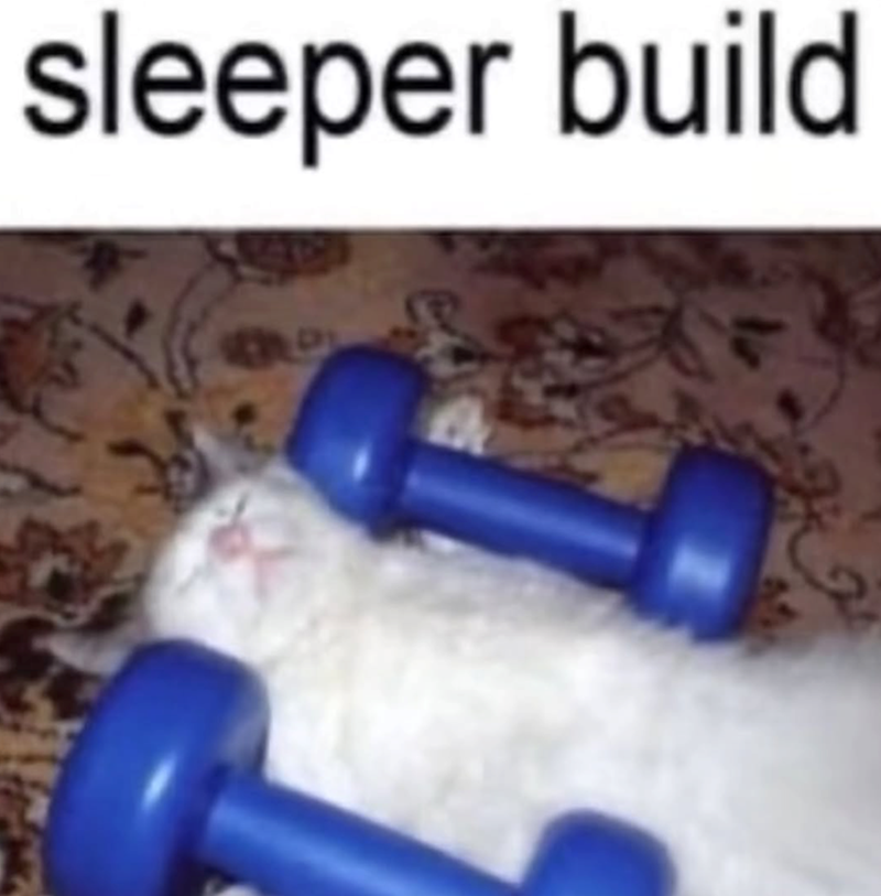 sleeper build