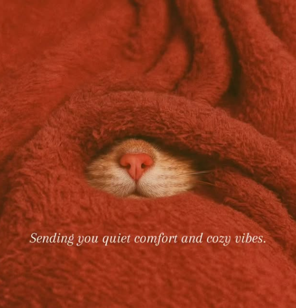Sending you quiet comfort and cozy vibes.