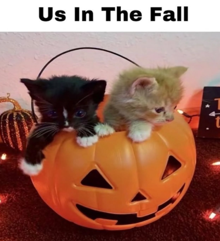 Us In The Fall 1