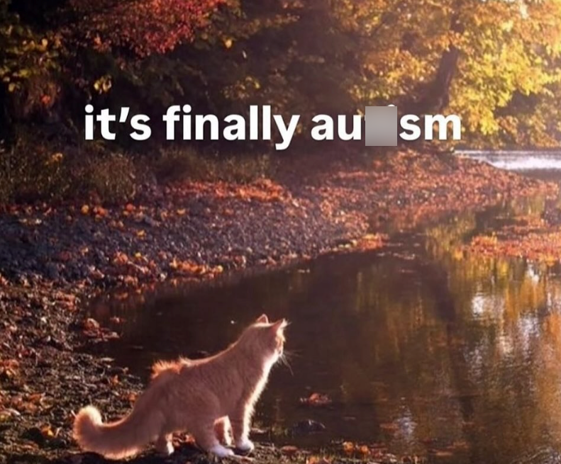 it's finally au sm