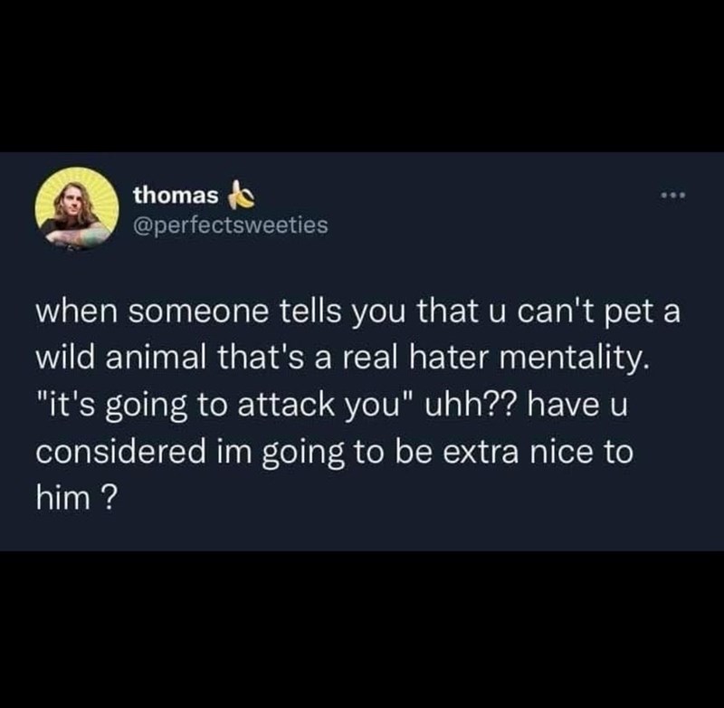 thomas @perfectsweeties when someone tells you that u can't pet a wild animal that's a real hater mentality. "it's going to attack you" uhh?? have u considered im going to be extra nice to him?
