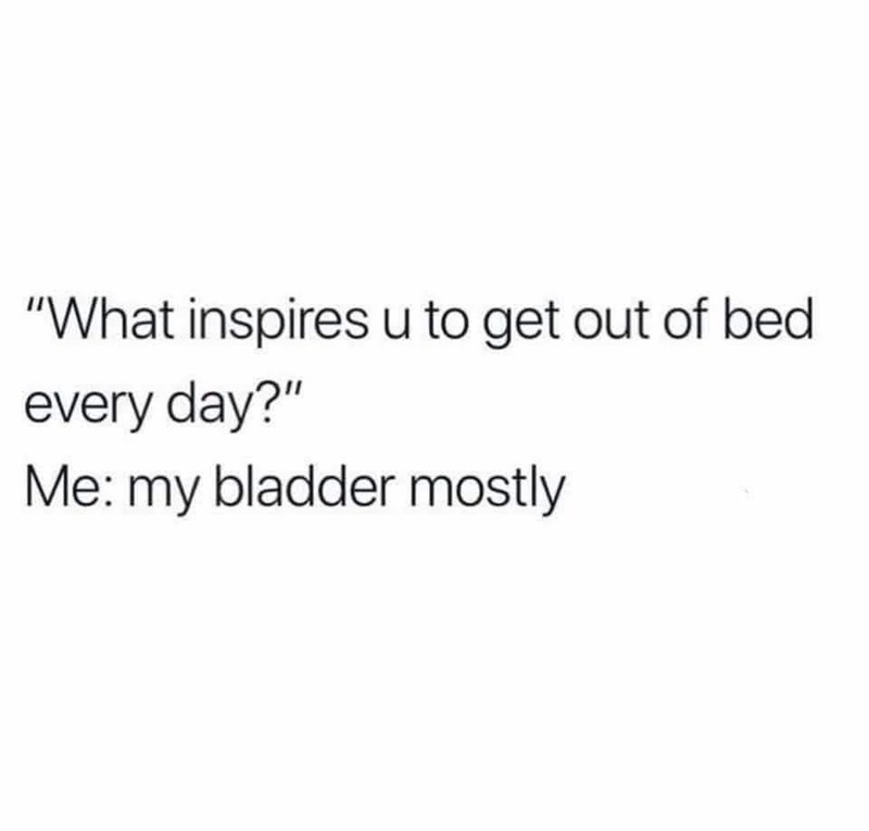 "What inspires u to get out of bed every day?" Me: my bladder mostly