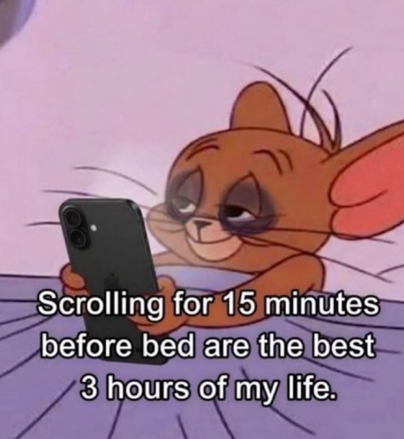 Scrolling for 15 minutes before bed are the best 3 hours of my life.