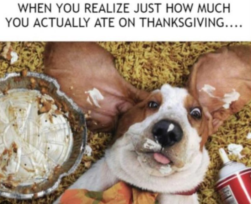 WHEN YOU REALIZE JUST HOW MUCH YOU ACTUALLY ATE ON THANKSGIVING....