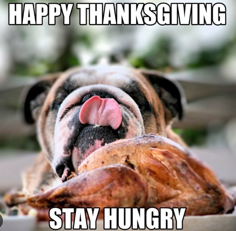 HAPPY THANKSGIVING STAY HUNGRY