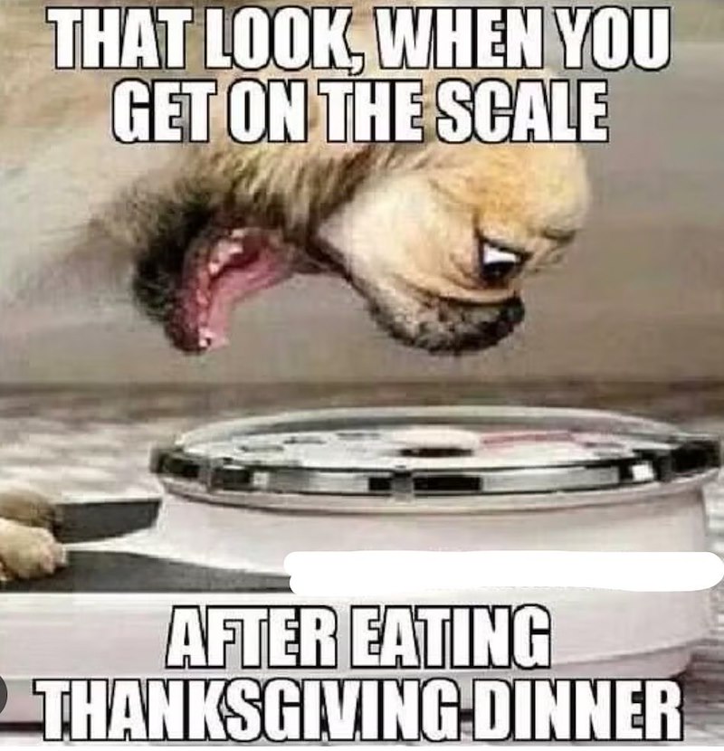 THAT LOOK, WHEN YOU GET ON THE SCALE AFTER EATING THANKSGIVING DINNER