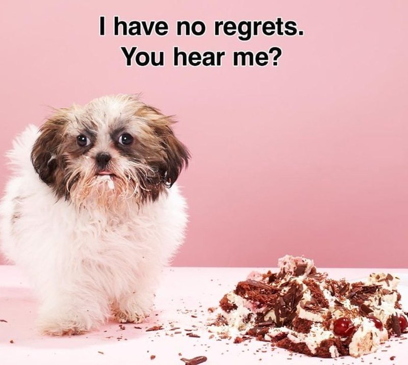 I have no regrets. You hear me?