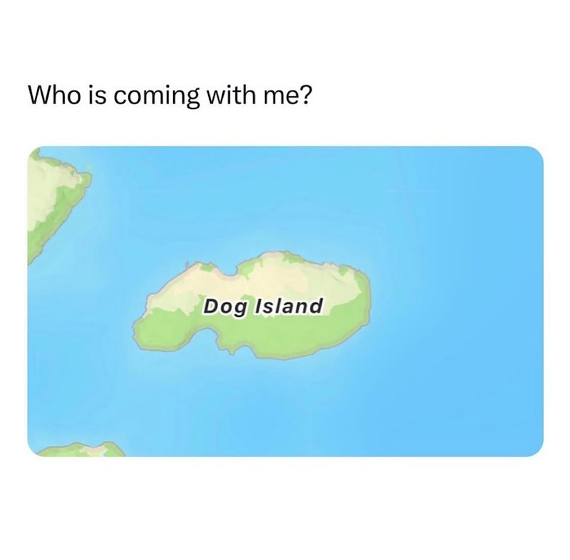 Who is coming with me? Dog Island