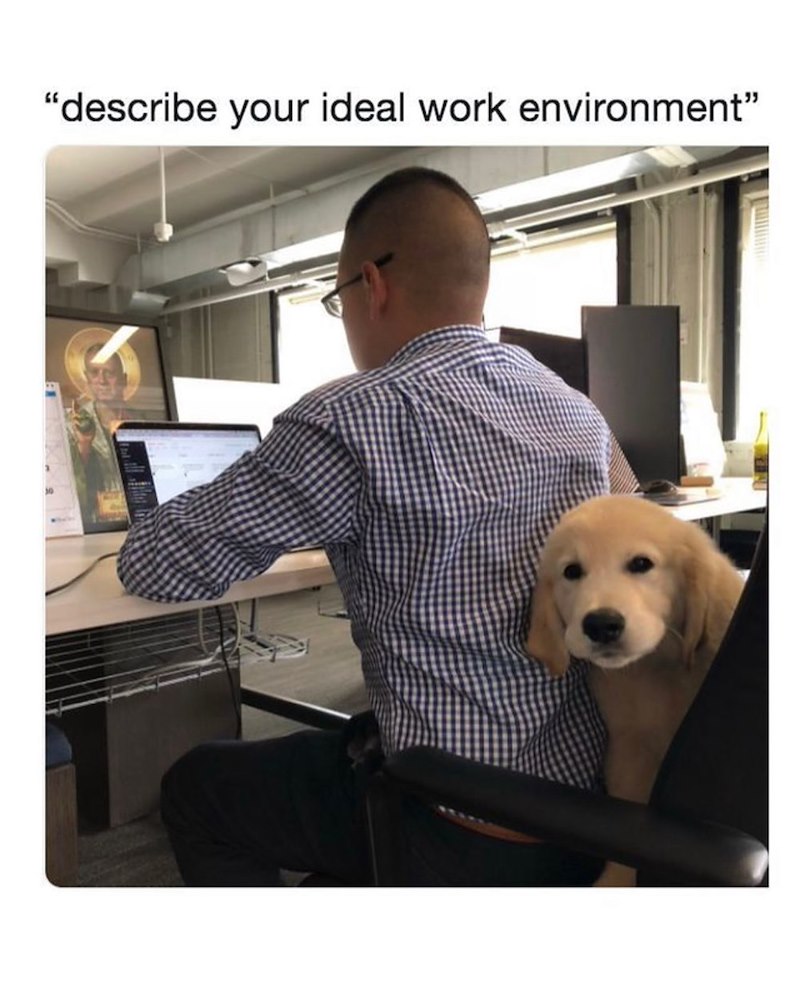 "describe your ideal work environment"