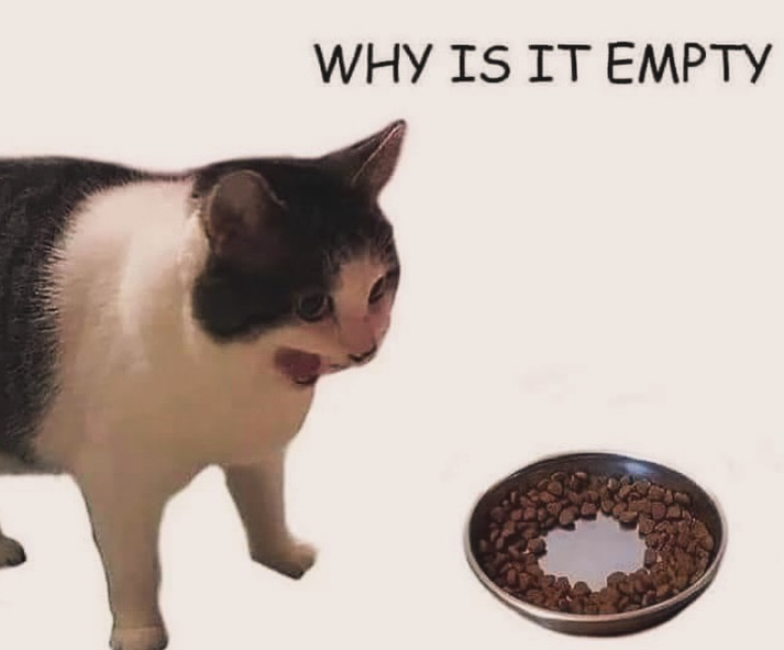 WHY IS IT EMPTY
