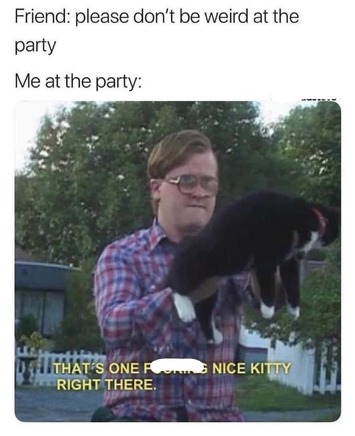 Friend: please don't be weird at the party Me at the party: THAT'S ONE FG NICE KITTY RIGHT THERE.