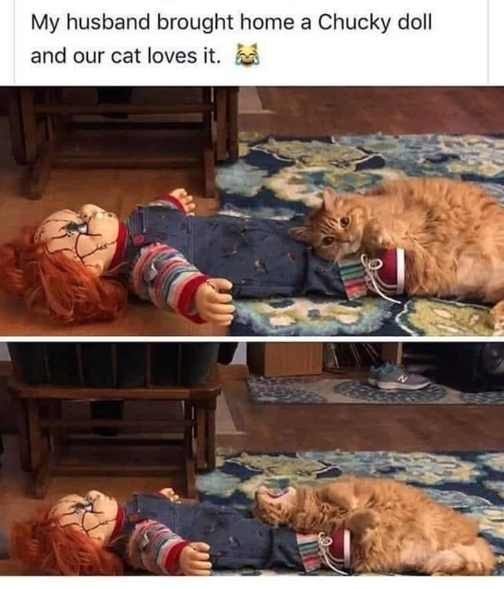My husband brought home a Chucky doll and our cat loves it.