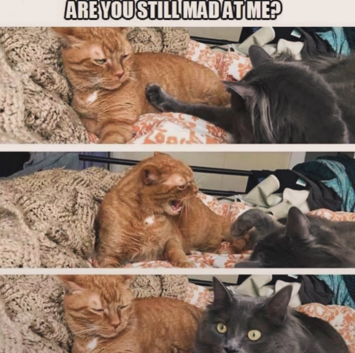 ARE YOU STILL MADAT ME?
