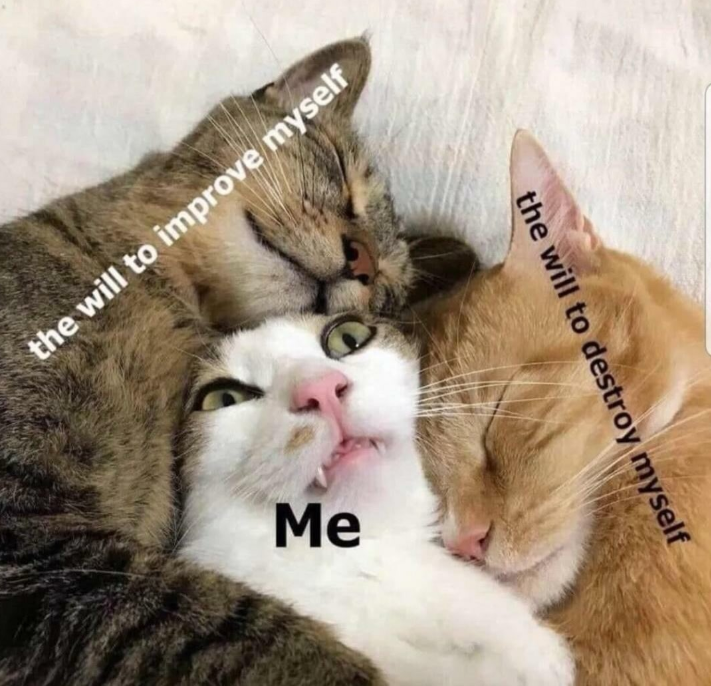 the will to improve myself Me the will to destroy myself