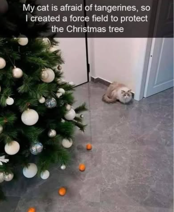 My cat is afraid of tangerines, so I created a force field to protect the Christmas tree