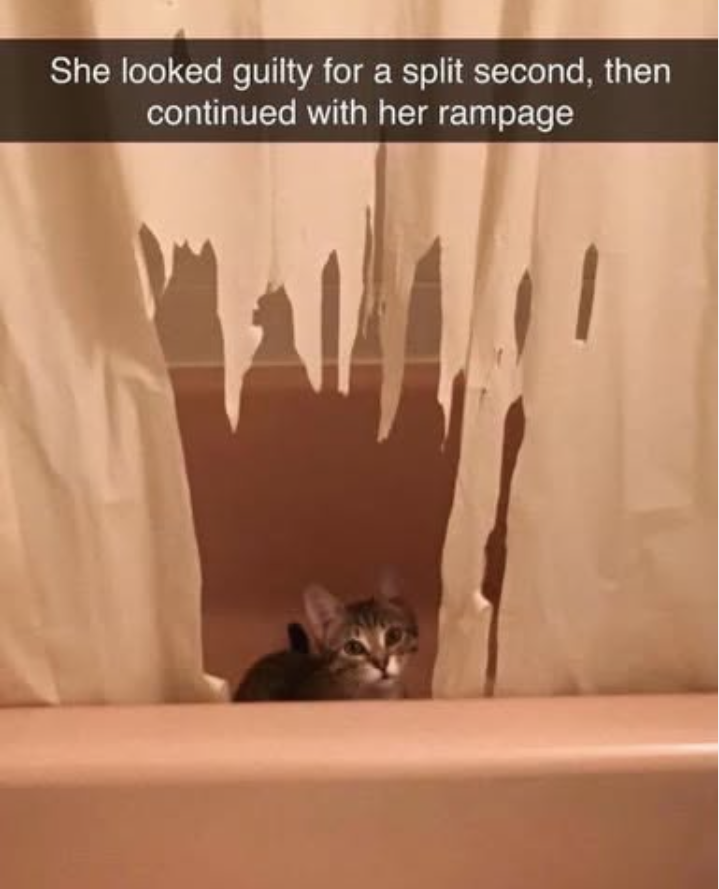 She looked guilty for a split second, then continued with her rampage