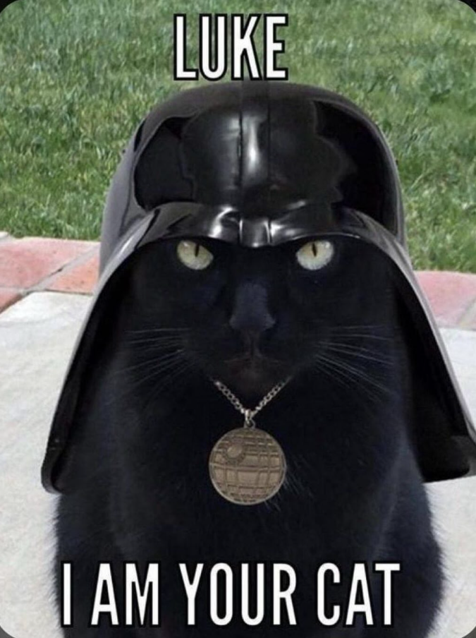 LUKE I AM YOUR CAT