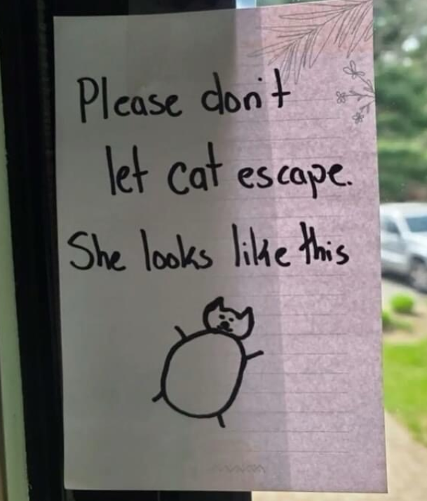 Please don't let cat escape. She looks like this