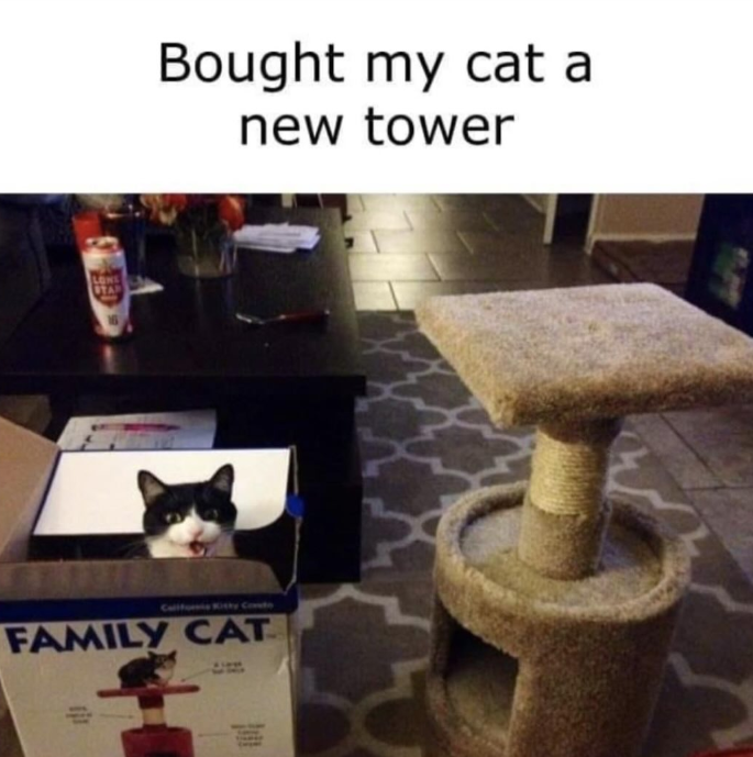 LONE STAR 16 Bought my cat a new tower California Kitty Condo FAMILY CAT