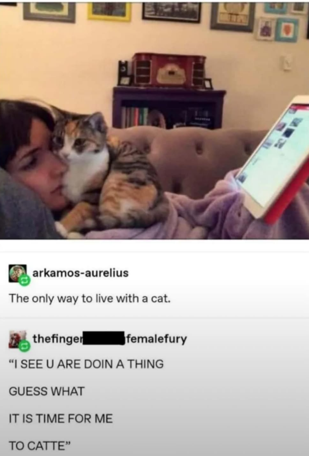 40 arkamos-aurelius The only way to live with a cat. thefinger femalefury "I SEE U ARE DOIN A THING GUESS WHAT IT IS TIME FOR ME TO CATTE"