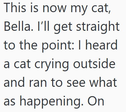 This is now my cat, Bella. I'll get straight to the point: I heard a cat crying outside and ran to see what as happening. On