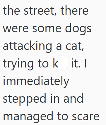 the street, there were some dogs attacking a cat, trying to kit. I immediately stepped in and managed to scare