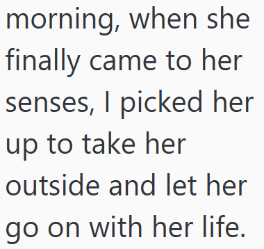 morning, when she finally came to her senses, I picked her up to take her outside and let her go on with her life.