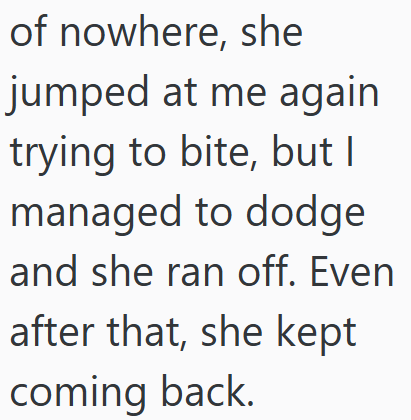 of nowhere, she jumped at me again trying to bite, but I managed to dodge and she ran off. Even after that, she kept coming back.