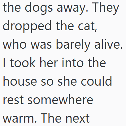 the dogs away. They dropped the cat, who was barely alive. I took her into the house so she could rest somewhere warm. The next