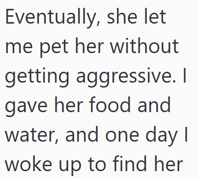 Eventually, she let me pet her without getting aggressive. I gave her food and water, and one day I woke up to find her