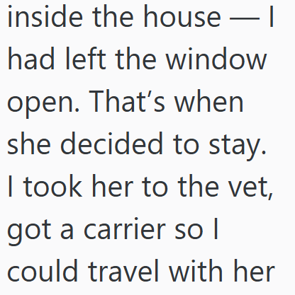 inside the house - I had left the window open. That's when she decided to stay. I took her to the vet, got a carrier so I could travel with her