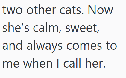 two other cats. Now she's calm, sweet, and always comes to me when I call her.