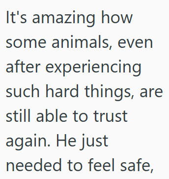 It's amazing how some animals, even after experiencing such hard things, are still able to trust again. He just needed to feel safe,