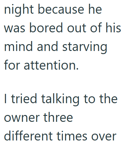 night because he was bored out of his mind and starving for attention. I tried talking to the owner three different times over
