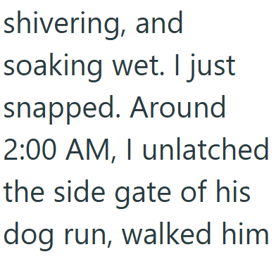 shivering, and soaking wet. I just snapped. Around 2:00 AM, I unlatched the side gate of his dog run, walked him