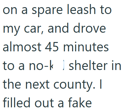 on a spare leash to my car, and drove almost 45 minutes to a no-k shelter in the next county. I filled out a fake
