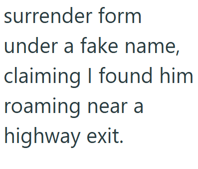 surrender form under a fake name, claiming I found him roaming near a highway exit.