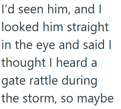 I'd seen him, and I looked him straight in the eye and said I thought I heard a gate rattle during the storm, so maybe