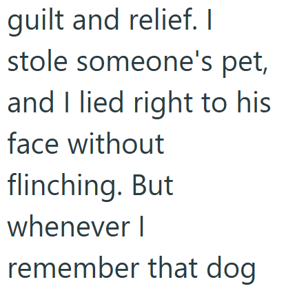 guilt and relief. I stole someone's pet, and I lied right to his face without flinching. But whenever I remember that dog