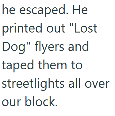 he escaped. He printed out "Lost Dog" flyers and taped them to streetlights all over our block.