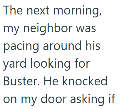 The next morning, my neighbor was pacing around his yard looking for Buster. He knocked on my door asking if