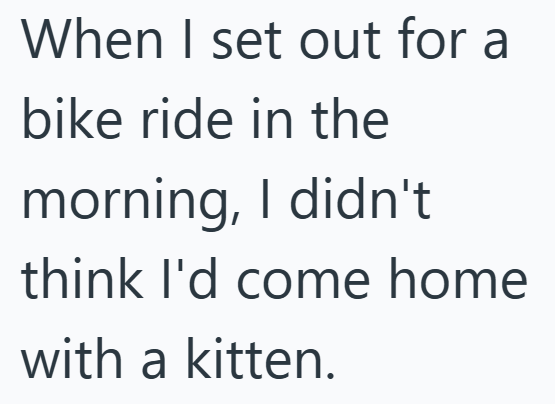 When I set out for a bike ride in the morning, I didn't think I'd come home with a kitten.