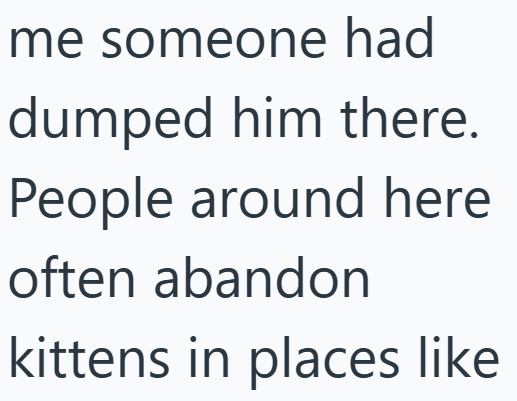 me someone had dumped him there. People around here often abandon kittens in places like