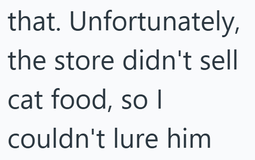 that. Unfortunately, the store didn't sell cat food, so I couldn't lure him