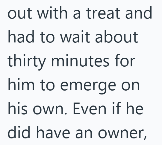 out with a treat and had to wait about thirty minutes for him to emerge on his own. Even if he did have an owner,