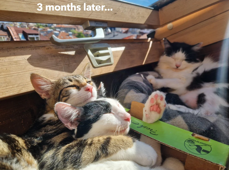 3 months later... E Fresh PRODUCE OF RENVA