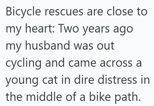 Bicycle rescues are close to my heart: Two years ago my husband was out cycling and came across a young cat in dire distress in the middle of a bike path.